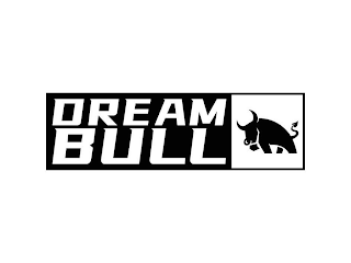 DREAM BULL logo