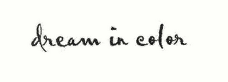 DREAM IN COLOR logo