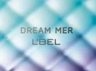 DREAM MER L'BEL logo