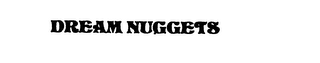 DREAM NUGGETS logo