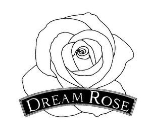 DREAM ROSE logo