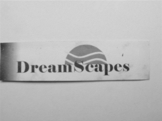 DREAM SCAPES logo