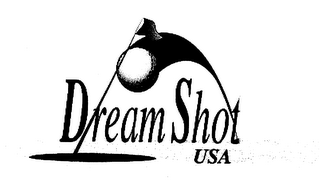 DREAM SHOT USA logo