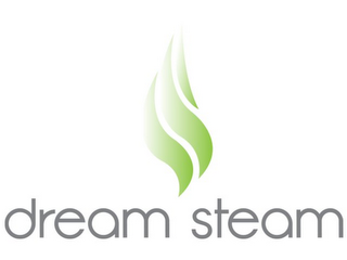 DREAM STEAM logo