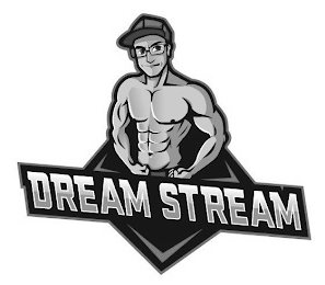 DREAM STREAM logo