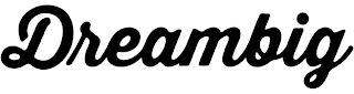 DREAMBIG logo