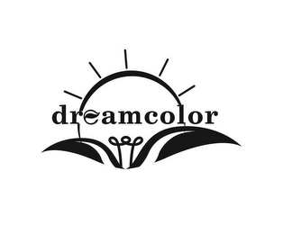 DREAMCOLOR logo