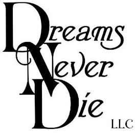 DREAMS NEVER DIE LLC logo