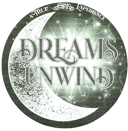DREAMS UNWIND A TRUE STEVIE NICKS EXPERIENCE logo