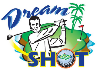 DREAMSHOT DS logo