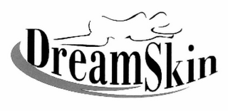 DREAMSKIN logo