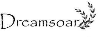 DREAMSOAR logo