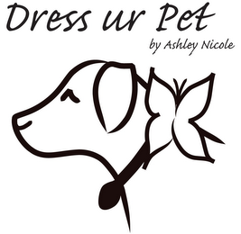 DRESS UR PET BY ASHLEY NICOLE logo