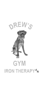 DREW'S GYM IRON THERAPY logo