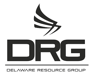 DRG DELAWARE RESOURCE GROUP logo