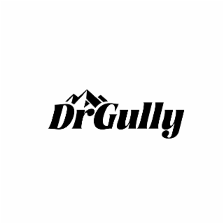 DRGULLY logo