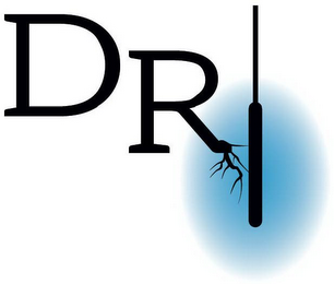 DRI logo