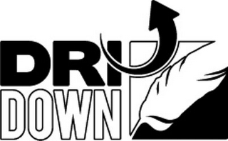 DRIDOWN logo