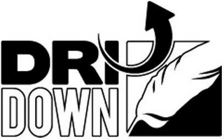 DRIDOWN logo