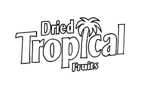 DRIED TROPICAL FRUITS logo