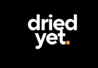 DRIED YET logo