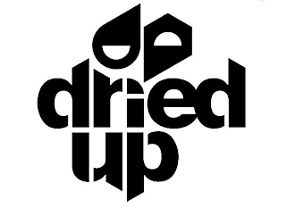 DRIEDUP logo