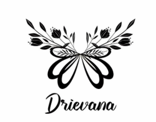 DRIEVANA logo