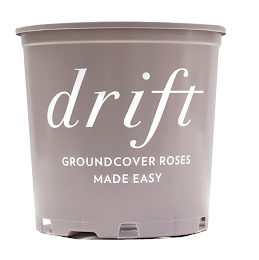 DRIFT GROUNDCOVER ROSES MADE EASY logo