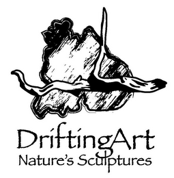 DRIFTING ART NATURE'S SCULPTURES logo