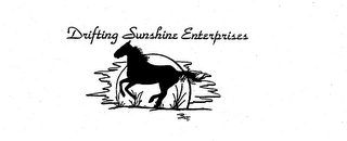 DRIFTING SUNSHINE ENTERPRISES logo
