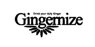 DRINK YOUR DAILY GINGER GINGERNIZE logo