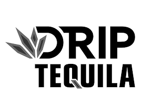 DRIP TEQUILA logo