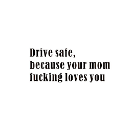 DRIVE SAFE, BECAUSE YOUR MOM FUCKING LOVES YOU logo