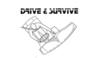 DRIVE & SURVIVE logo