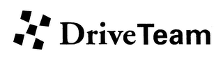 DRIVE TEAM logo