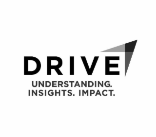 DRIVE UNDERSTANDING. INSIGHTS. IMPACT. logo