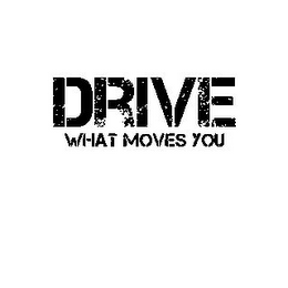 DRIVE WHAT MOVES YOU logo