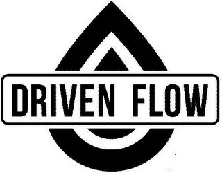 DRIVEN FLOW logo