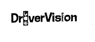 DRIVER VISION logo