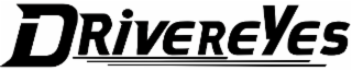 DRIVEREYES logo