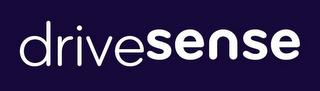 DRIVESENSE logo