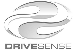 DRIVESENSE logo
