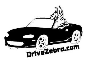 DRIVEZEBRA.COM logo