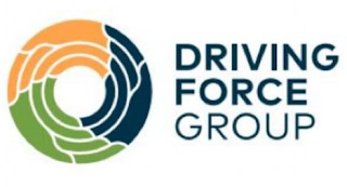 DRIVING FORCE GROUP logo
