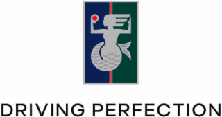 DRIVING PERFECTION logo