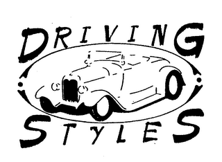 DRIVING STYLES logo