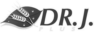 DR.J. PLUS logo