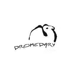 DROMEDARY logo