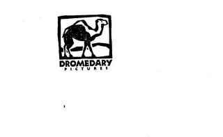 DROMEDARY PICTURES logo