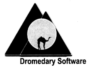 DROMEDARY SOFTWARE logo